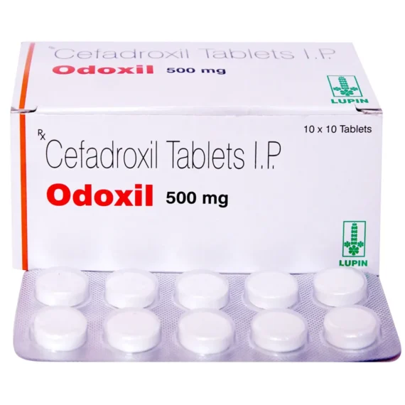 productid-66b36cd129309afa864a4b14-hash-591a97e9a4c14d9068139ba4421b950b-date-12-Aug-2024-06-56-pm-1.webp