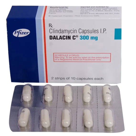 productid-66b36cd129309afa864a4e89-hash-863e7ac52e820db5b1ac5c7a5dcec747-date-12-Aug-2024-06-58-pm.webp