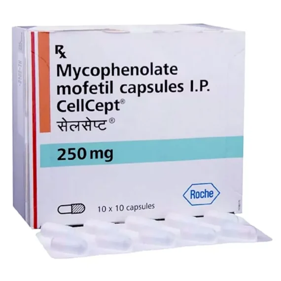 productid-66b36cd229309afa864a6275-hash-3ed11885c0835b8204a73d316ba6761f-date-12-Aug-2024-07-09-pm.webp