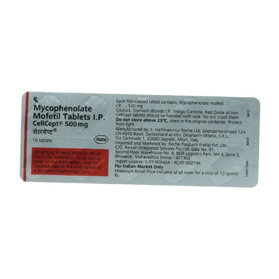 productid-66b36cd229309afa864a6278-hash-167fc44731f93ecca7a59f05d5521afa-date-12-Aug-2024-07-09-pm.webp