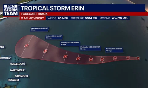 Tropical Storm Erin | SpeedoMed
